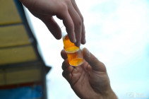 Soutěž OLS 2020 Desná